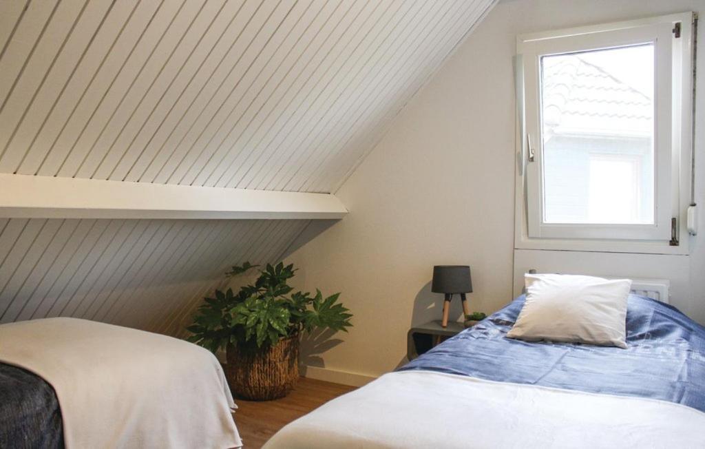 Vakantiewoning Aan Het Veerse Meer Wolphaartsdijk المظهر الخارجي الصورة